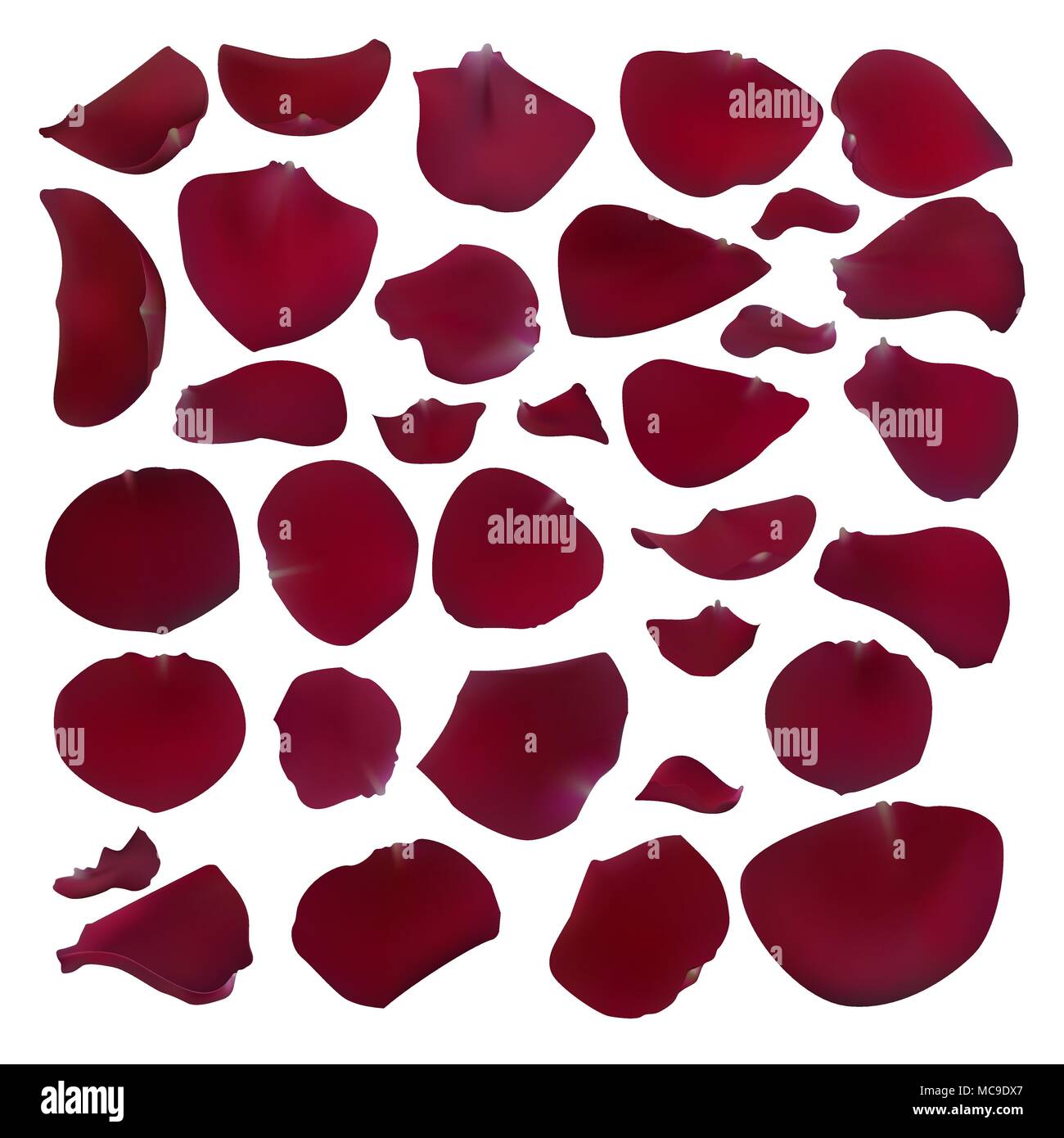 Collection of petals Stock Vector Images Alamy