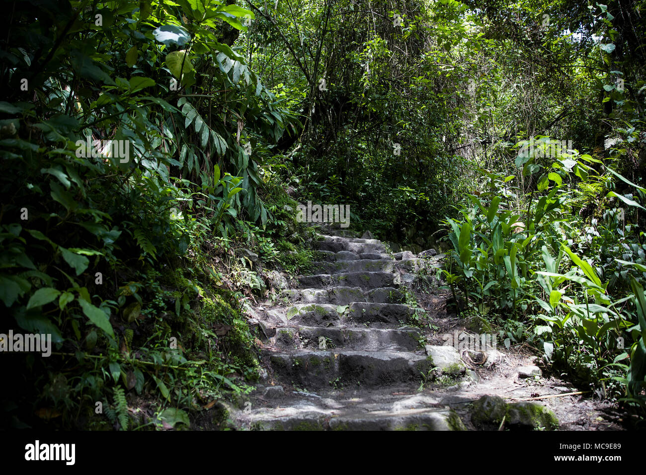 Detail of the Machu Picchu Inca citadel in Peru Stock Photo - Alamy