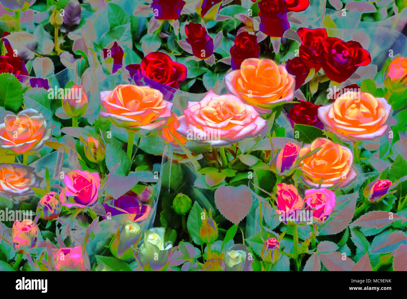 Nice flowers top