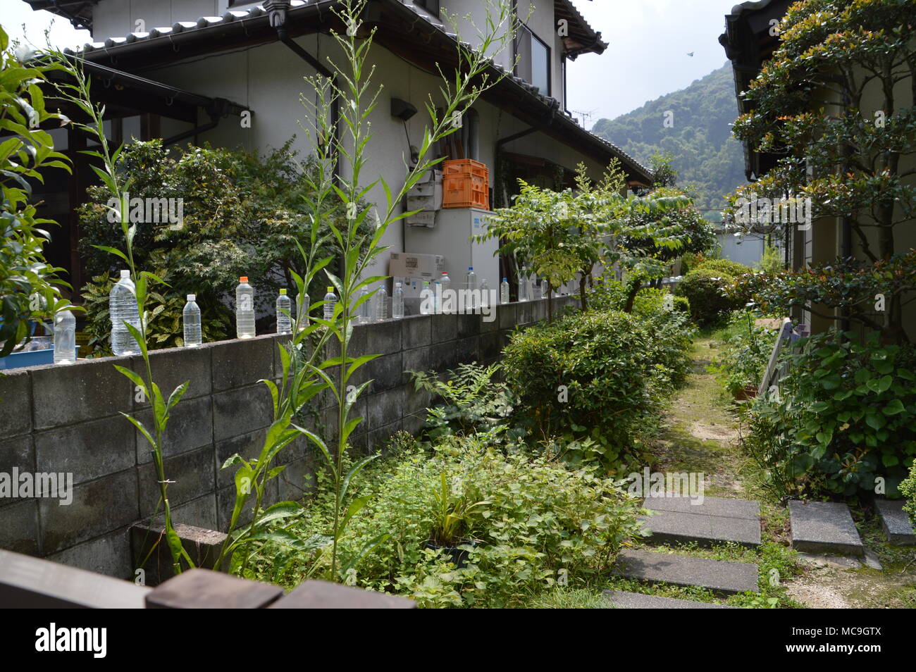 Water Bottles Around A Japanese House Stock Photo Alamy