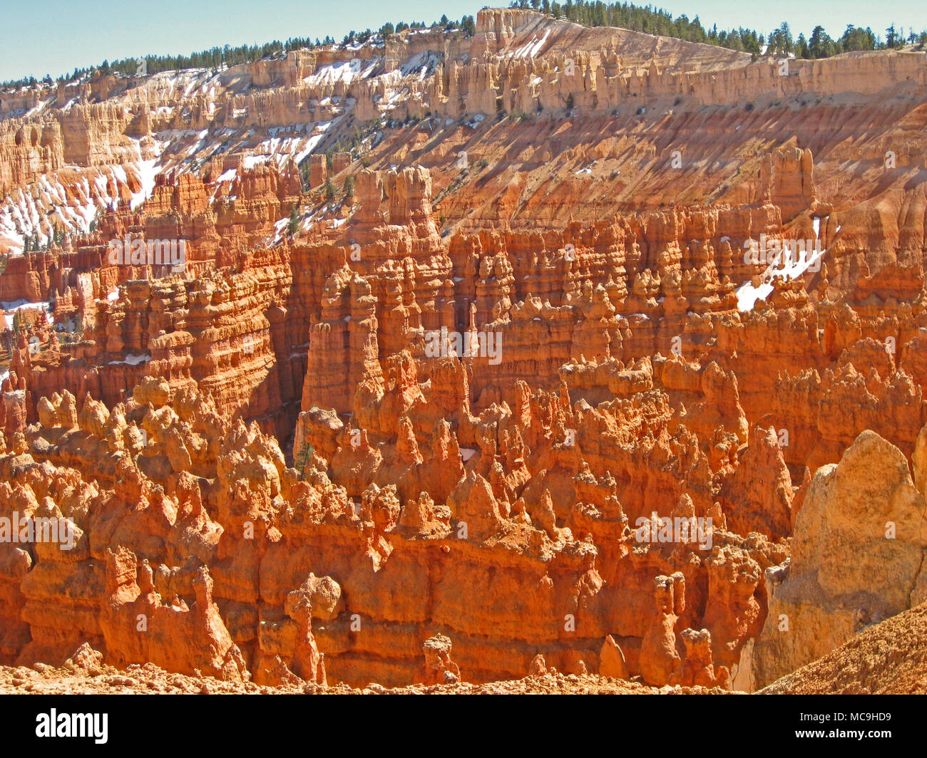 Bryce Canyon Stock Photo