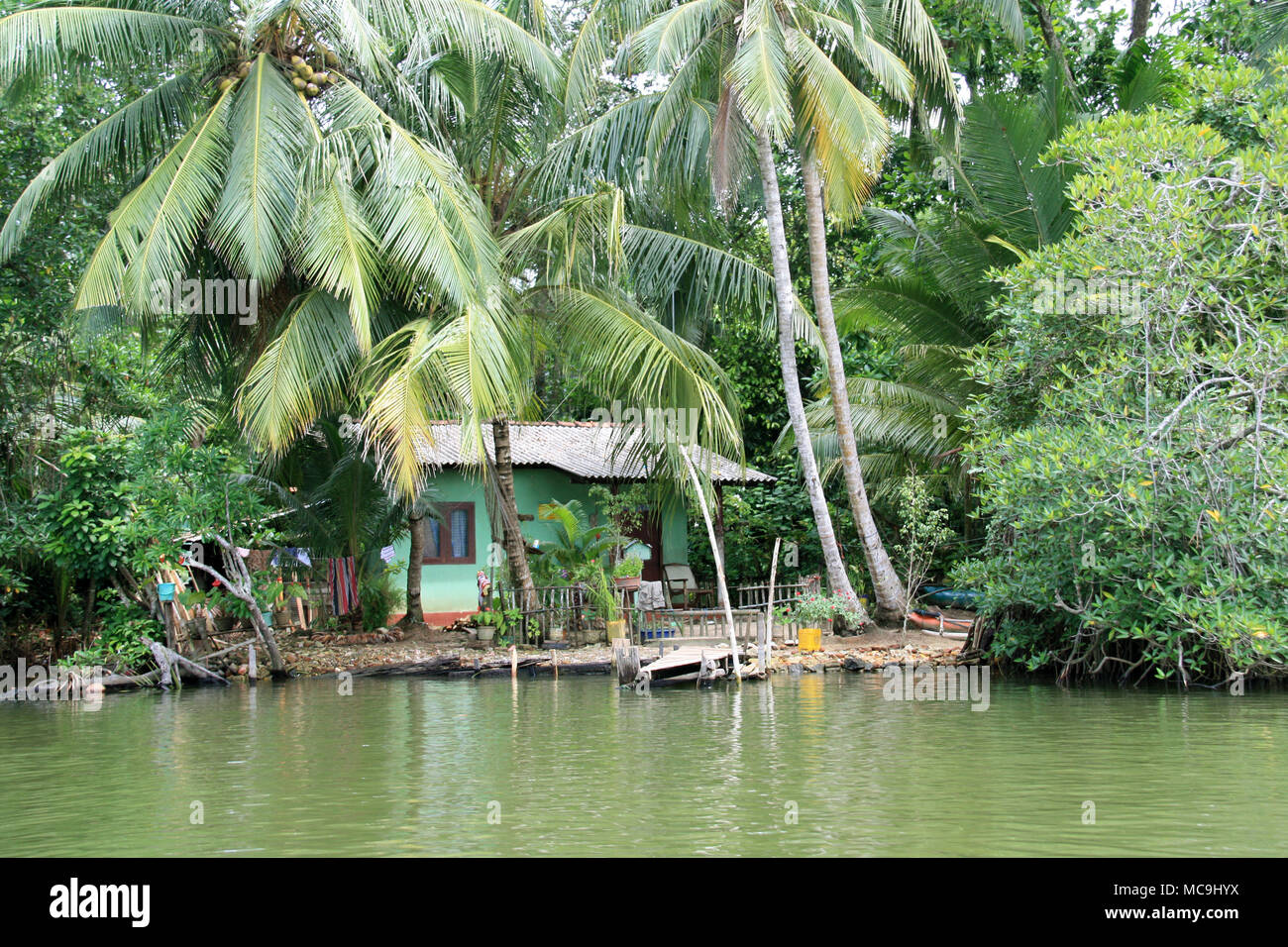 Single family house and coconut palm trees at the water's edge of a river near Bentota, Sri Lanka Stock Photo