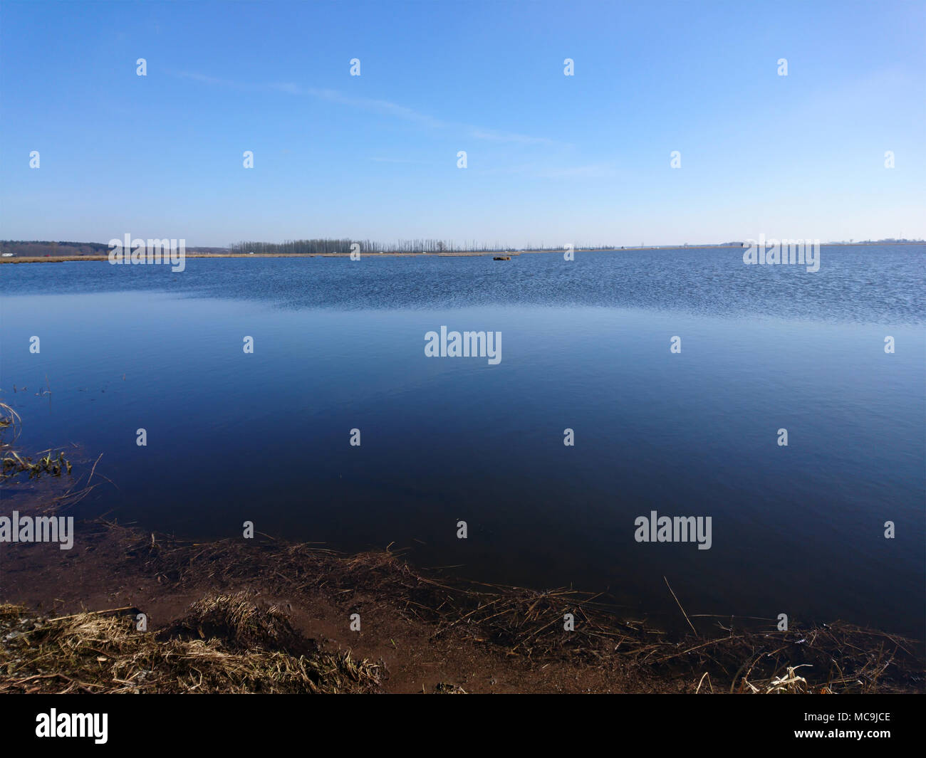 Vogelschutzgebiet Insel Usedom Stock Photo