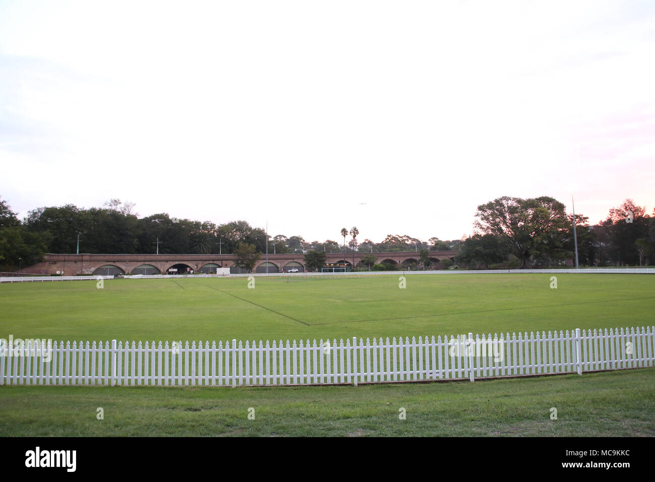 Jubilee Oval, Jubilee Park, Glebe just before sunset Stock Photo Alamy