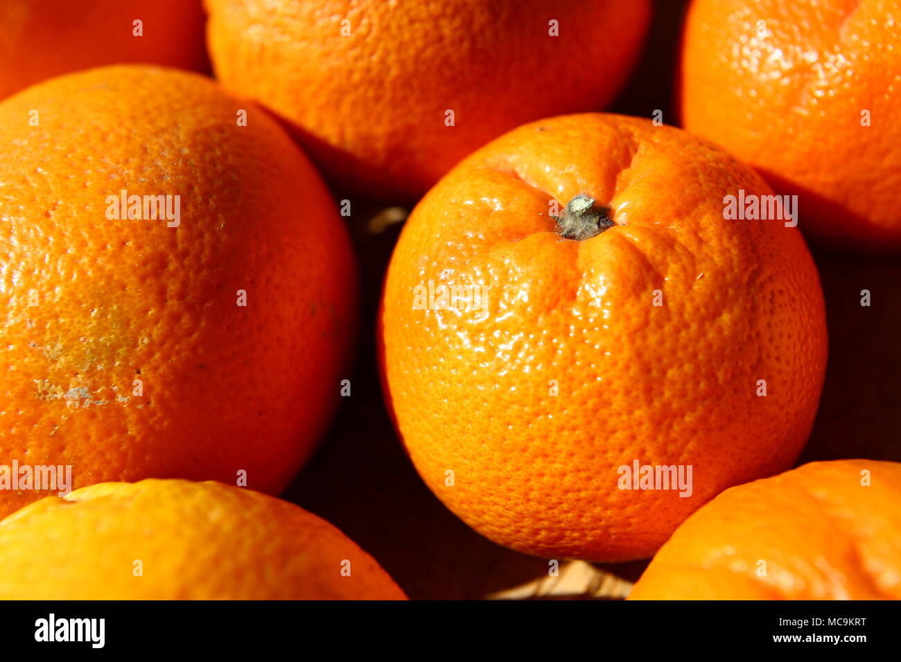 Food Oranges And Manadrines Stock Photo Alamy