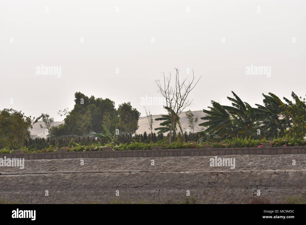 Life Is Like A Camera So Face It With A Smile Stock Photo Alamy