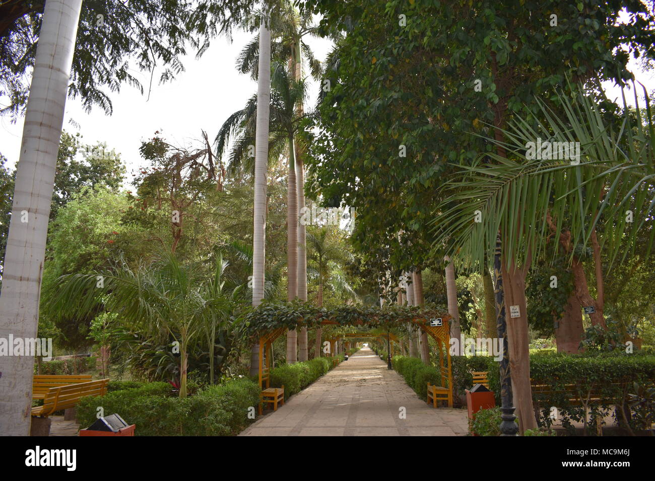 Life Is Like A Camera So Face It With A Smile Stock Photo Alamy