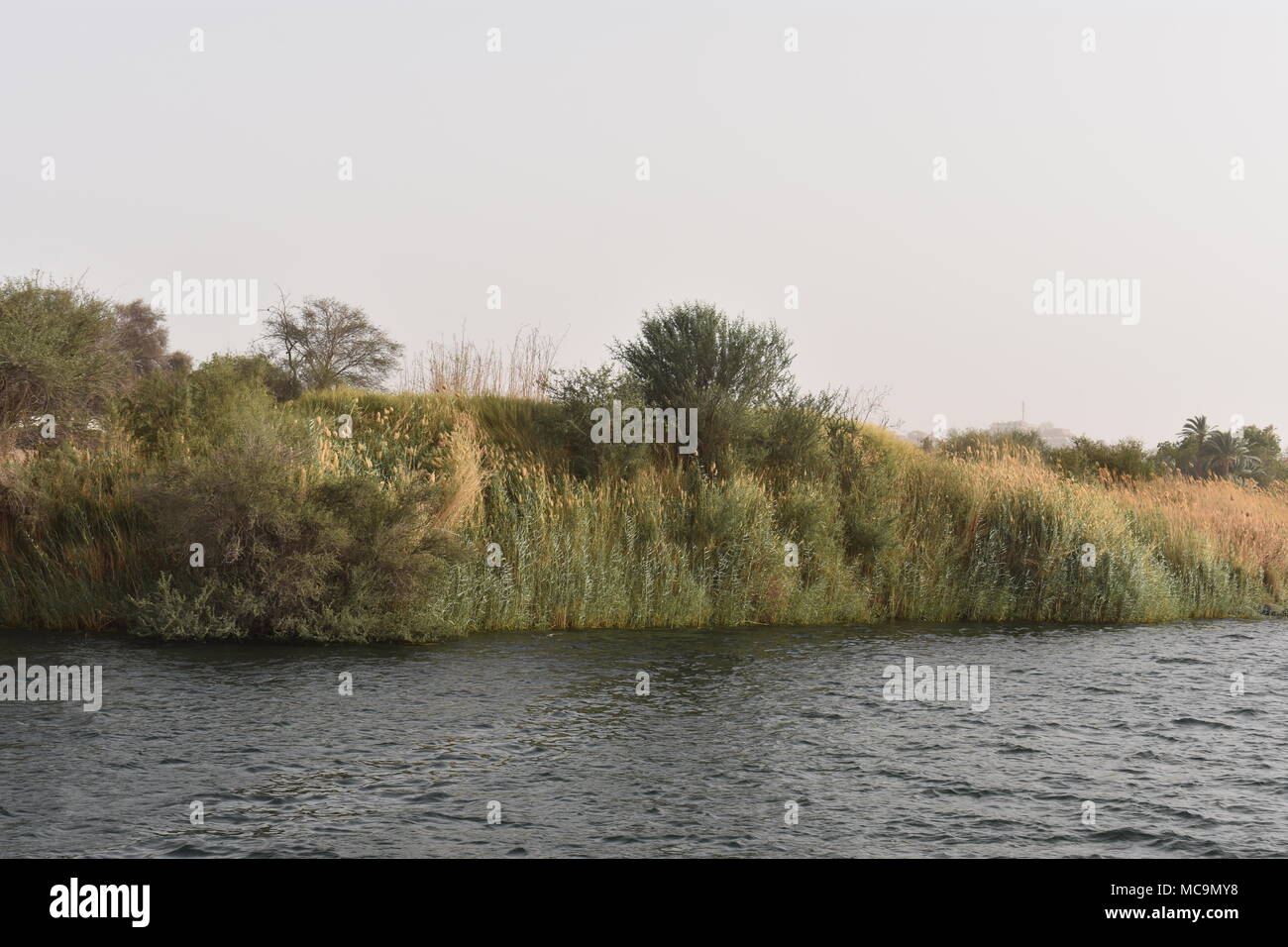 Life Is Like A Camera So Face It With A Smile Stock Photo Alamy