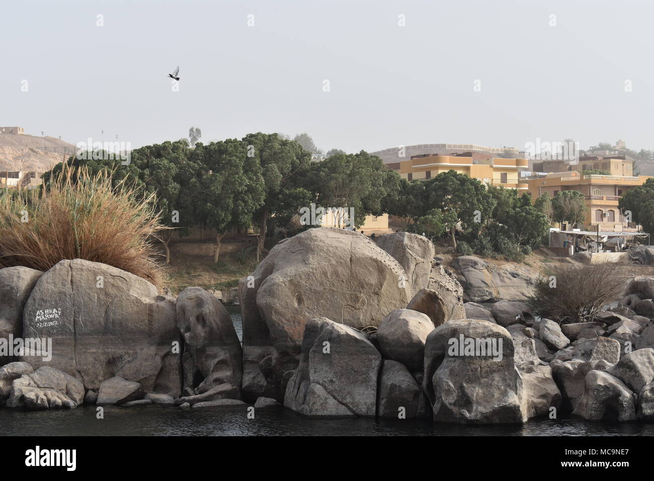 Life Is Like A Camera So Face It With A Smile Stock Photo Alamy