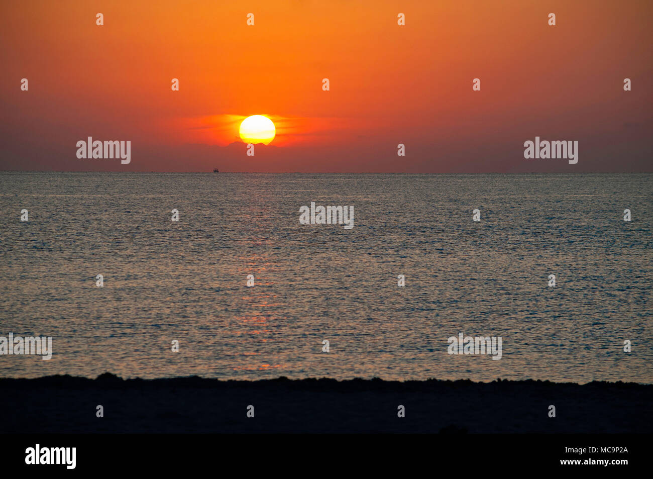 Early morning golden sunrise on a southern Florida beach. Stock Photo