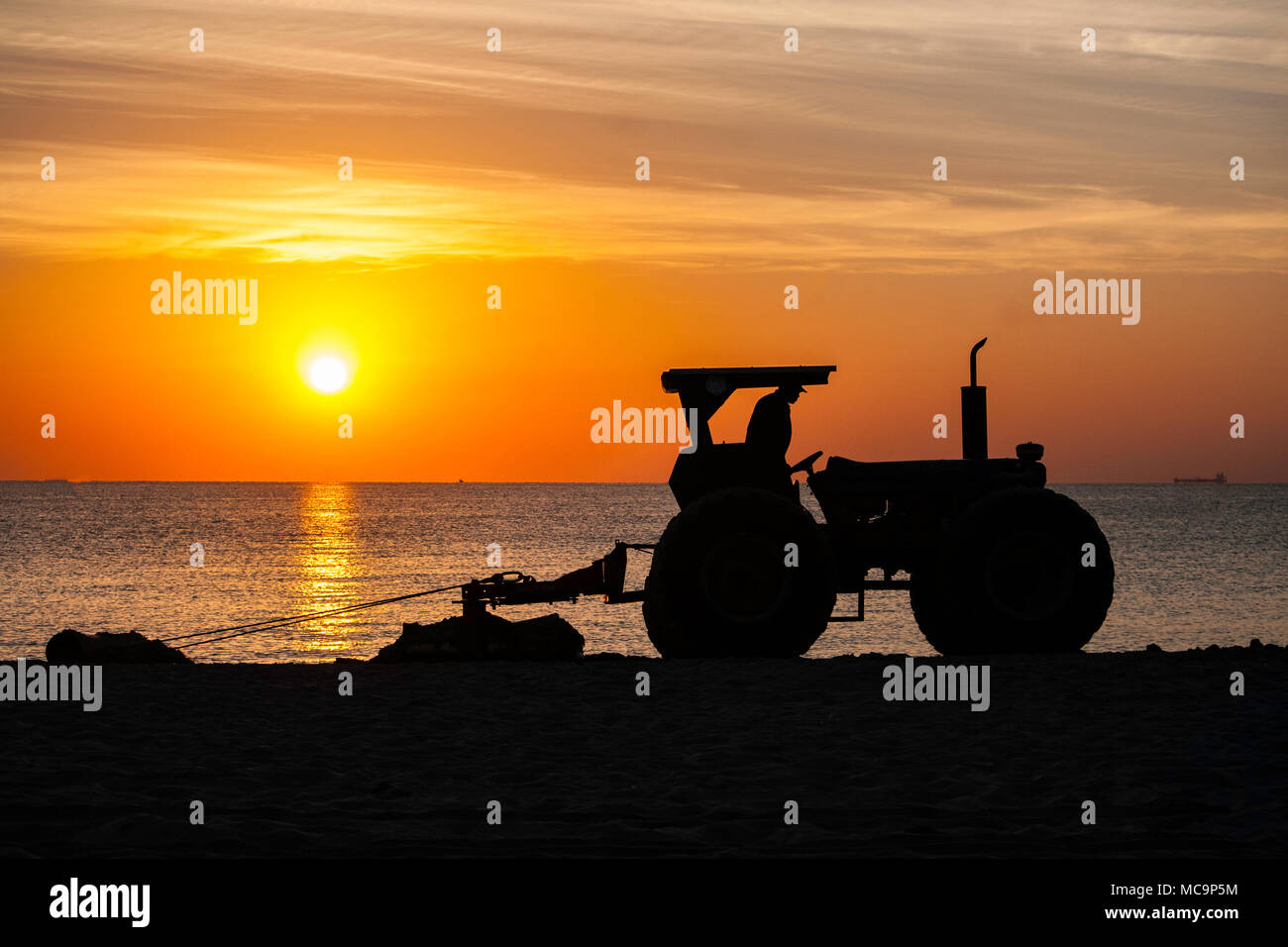 A tractor is silhouetted against the early morning sunrise as it clears the sandy beach of seaweed brought in by high tide in Hollywood, Florida. Stock Photo