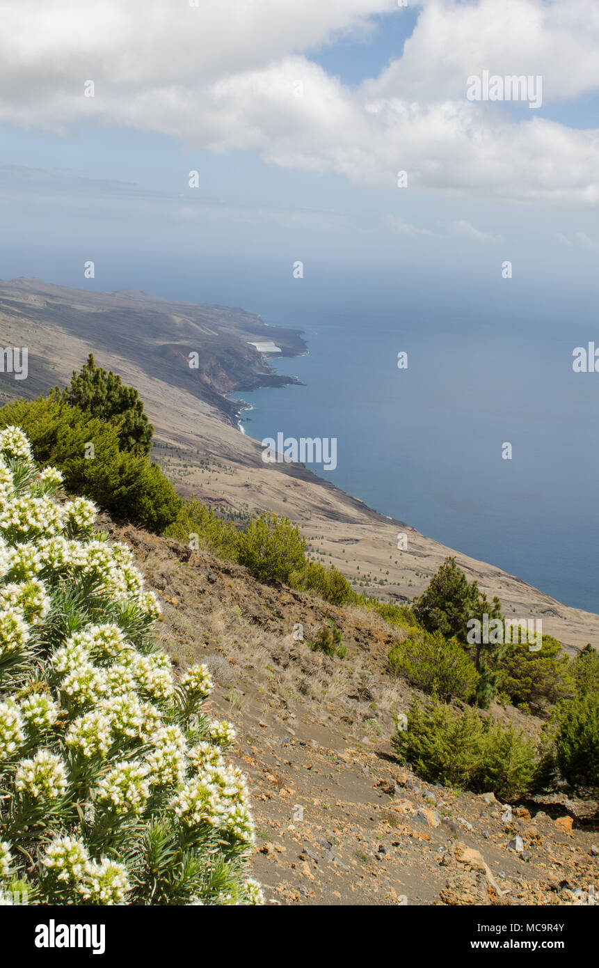 Landscape 'See of calm', El Hierro, Canary islands, Spain. Stock Photo