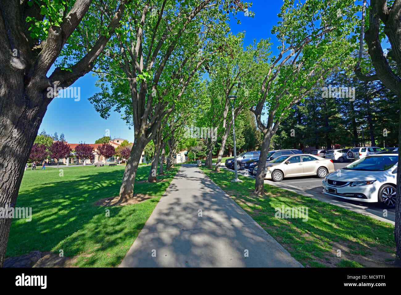 Memorial Park, Cupertino Stock Photo Alamy