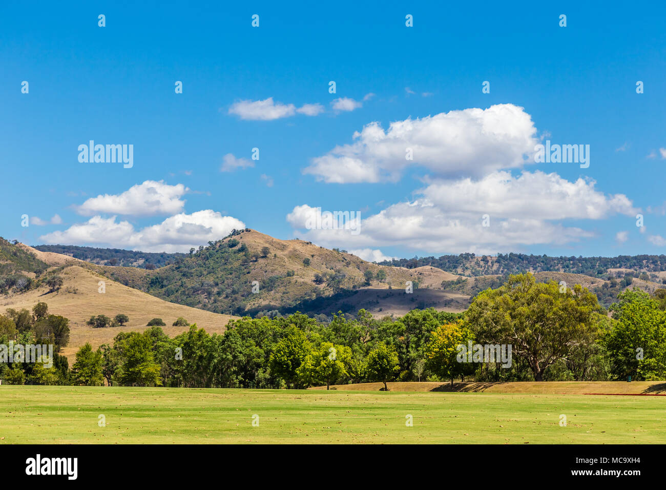 Rolling hills in the Upper Hunter Valley, NSW, Australia Stock Photo