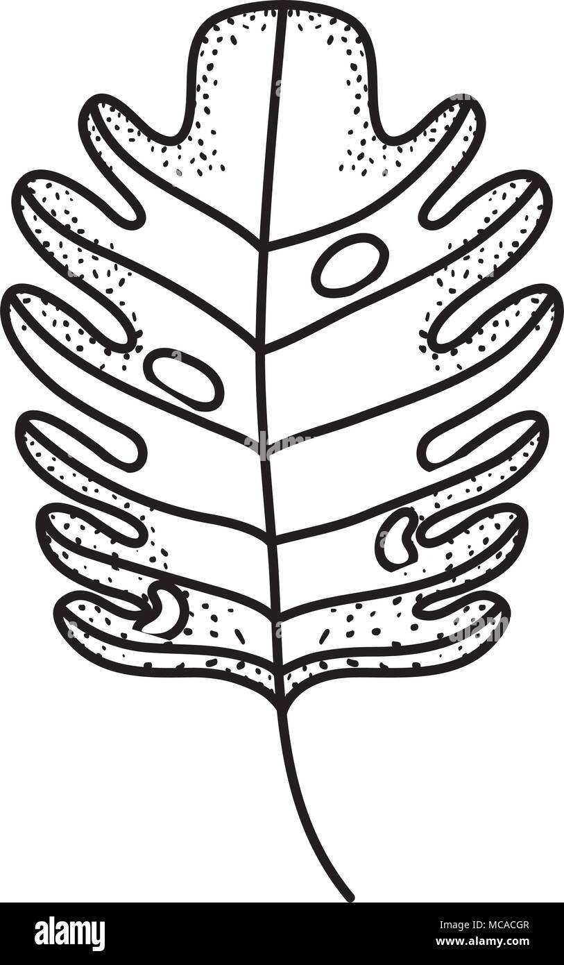 line nature tropical leaf of spring plant Stock Vector Image & Art - Alamy
