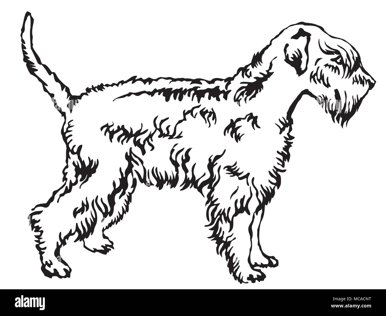 Decorative portrait of standing in profile Soft-coated Wheaten Terrier, vector isolated illustration in black color on white background Stock Vector