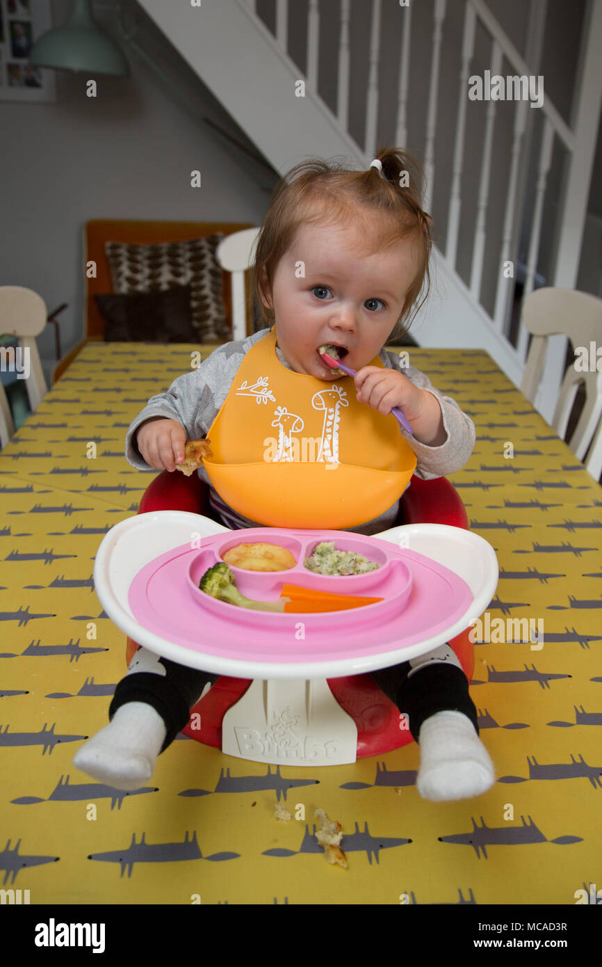 10 month old Baby Led Weening Stock Photo Alamy