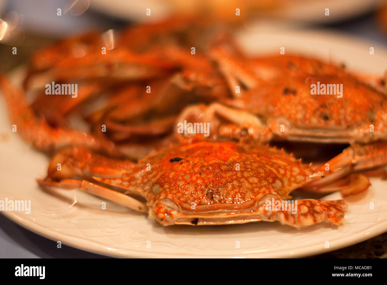 Cooked crabs on plate close Stock Photo