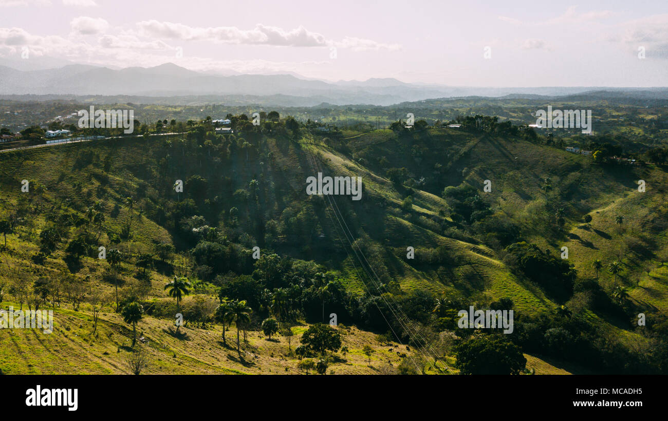 Drone aerial view long palm hi-res stock photography and images - Alamy