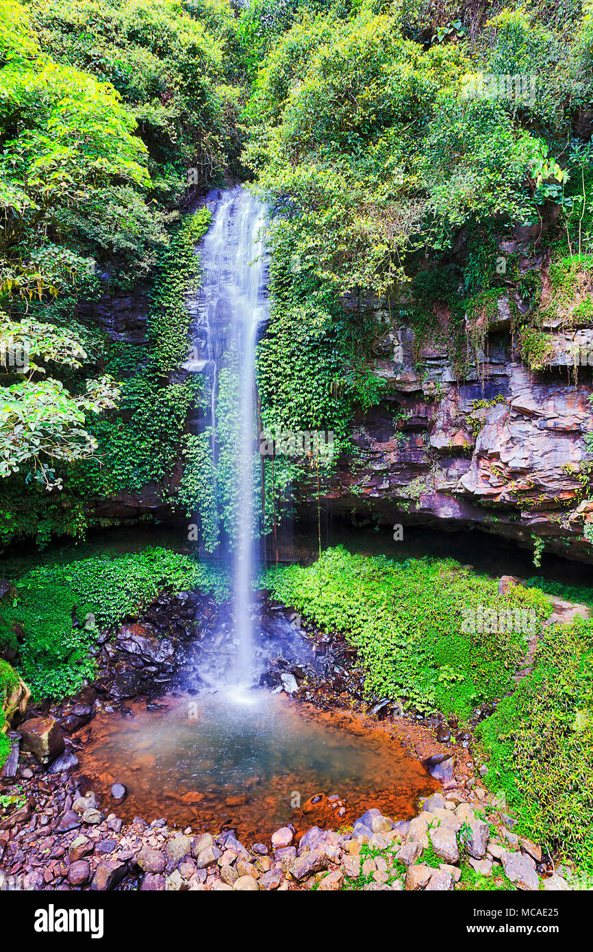 Crystal shower waterfall in Dorrigo national park in rocky creek surrounded by lush evergreen temperate rainforest on a day dropping fresh water to ro Stock Photo