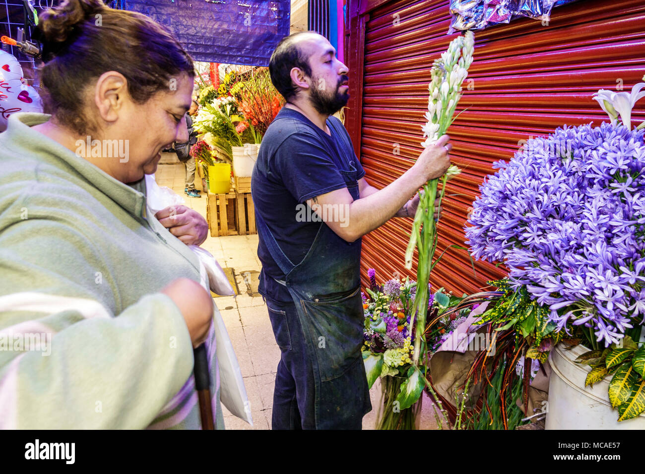 Mexico City,Mexican,Hispanic Latin Latino ethnic,Coyoacan,Del Carmen,Mercado de Coyoacan,flower flowers market,vendor vendors seller sell sel Stock Photo