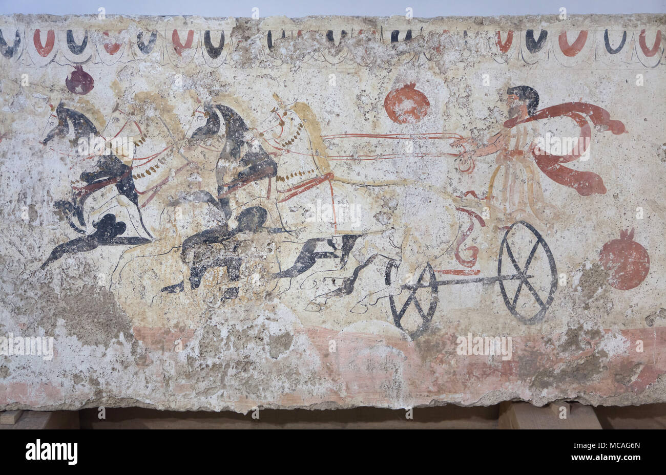 Biga race (chariot race) depicted in the Lucanian fresco from the 4th century BC on display in the Paestum Archaeological Museum (Museo archeologico di Paestum) in Paestum, Campania, Italy. Stock Photo