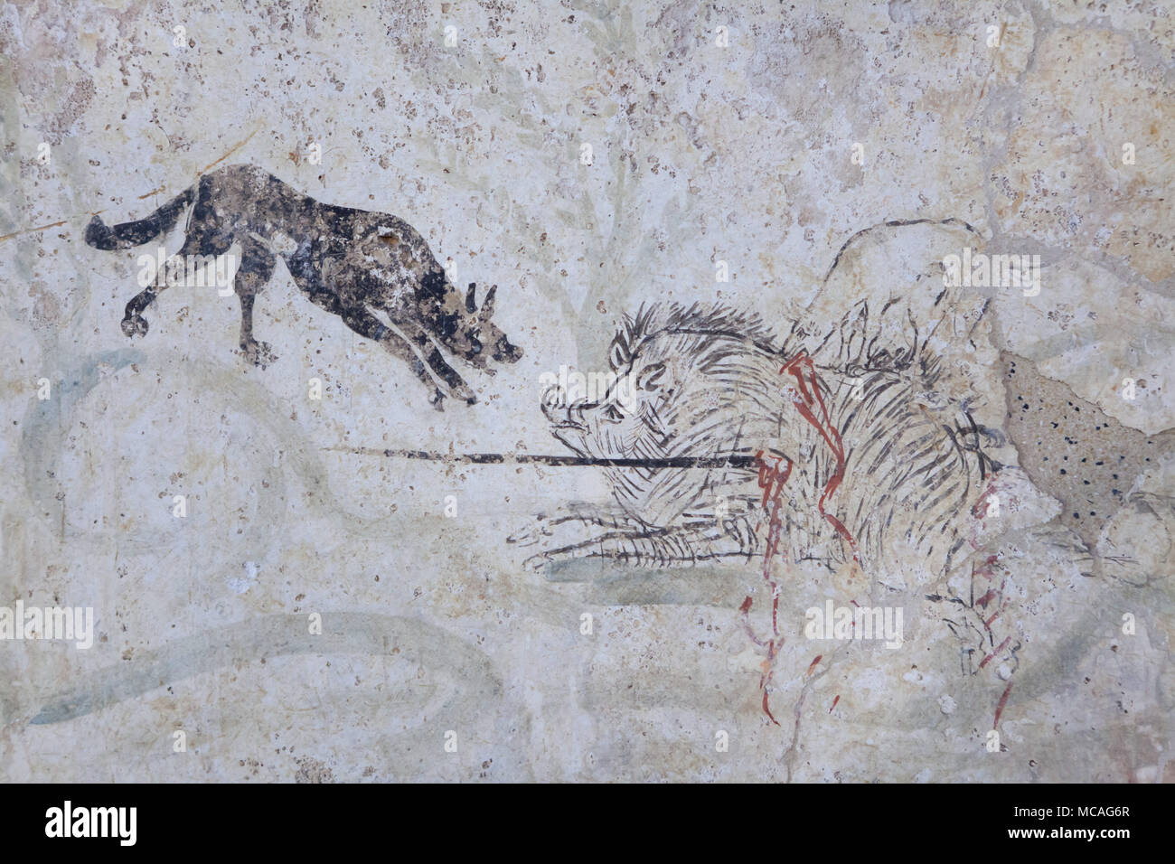 Wild boar hunting depicted in the Lucanian fresco from the 4th century BC on display in the Paestum Archaeological Museum (Museo archeologico di Paestum) in Paestum, Campania, Italy. Stock Photo