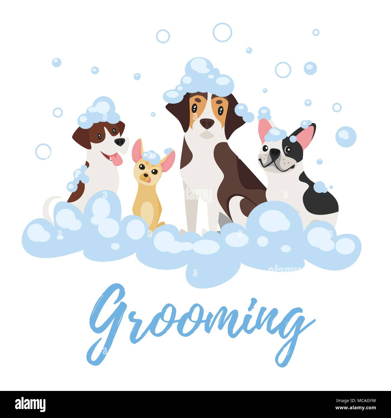 Vector cartoon style illustration of dogs of different breeds in soap