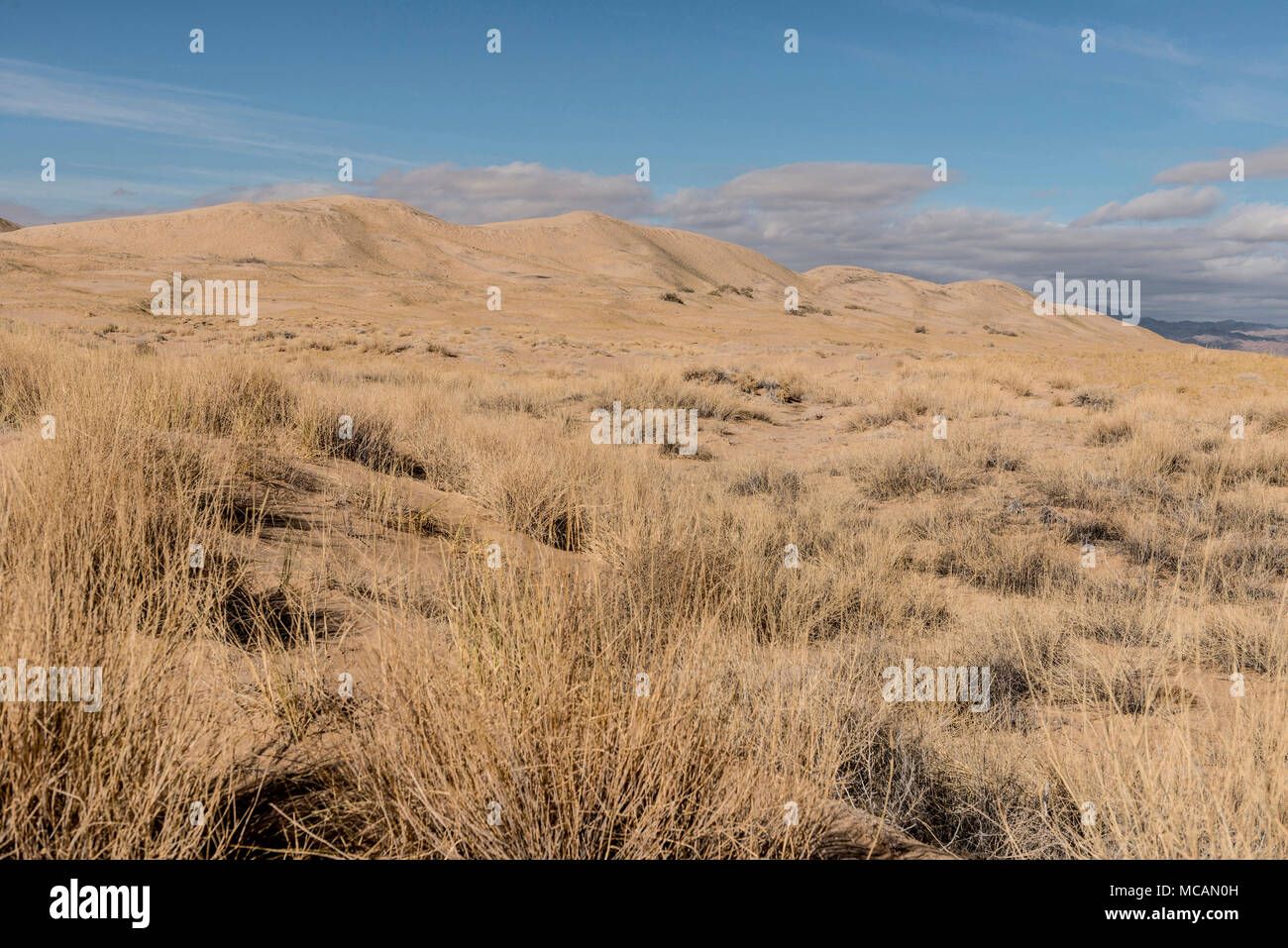 Kelso Dunes, also known as the Kelso Dune Field, the larges Stock Photo