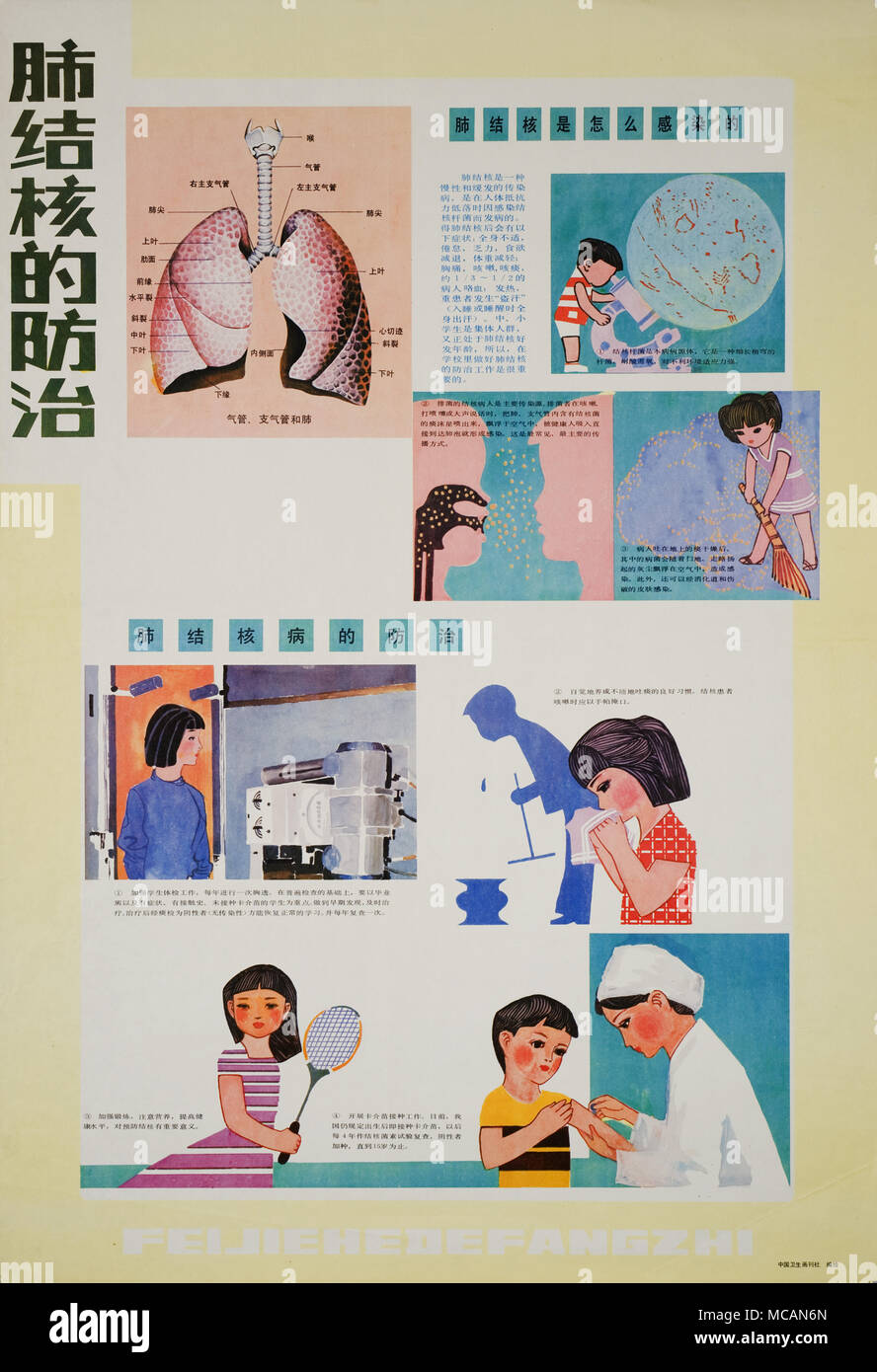 How to prevent TB. The top left side shows a picture of lungs. The top right side shows a young boy looking through the microscope at the Mycobacterium tuberculosis. Below him are two images showing direct and indirect ways of spreading the infection. Four images at the lower half of the poster show importance of regular examinations, healthy living habits, exercise and getting a BCG vaccine. This poster aims at students in particular. Stock Photo