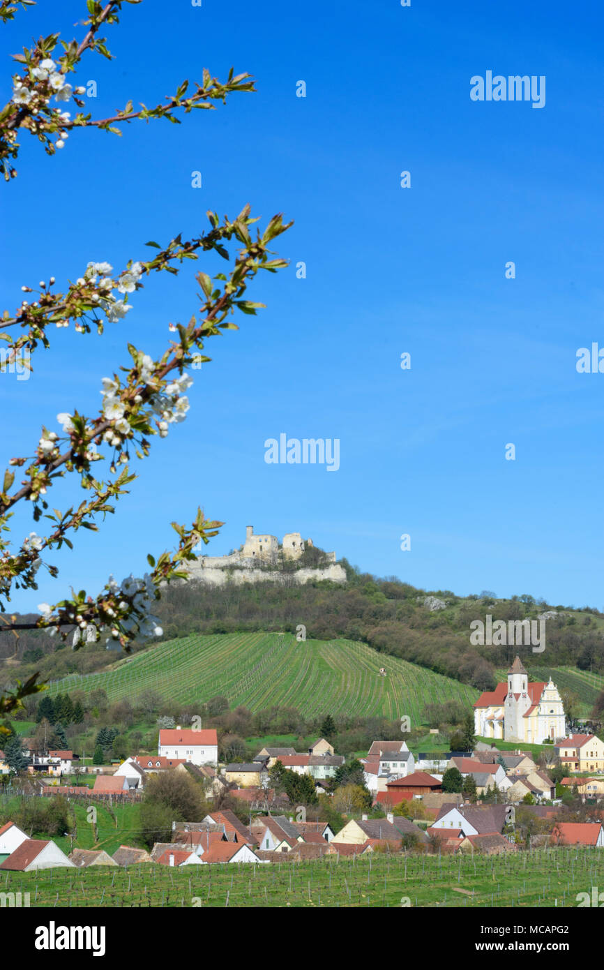 Falkenstein: castle Burg Falkenstein, village Falkenstein, church, blossoming cherry tree in Weinviertel, Niederösterreich, Lower Austria, Austria Stock Photo