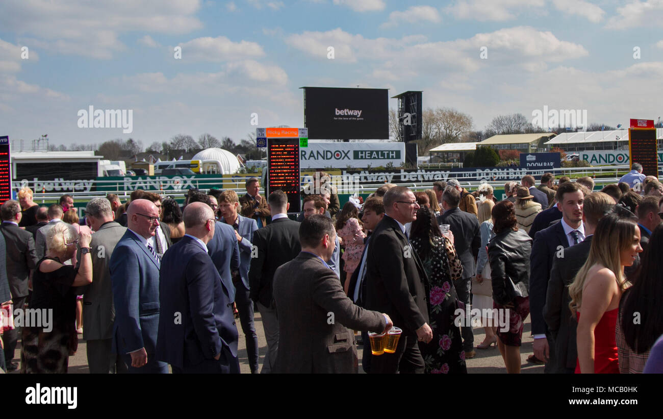 Horse Racing Horses High Resolution Stock Photography and Images Alamy