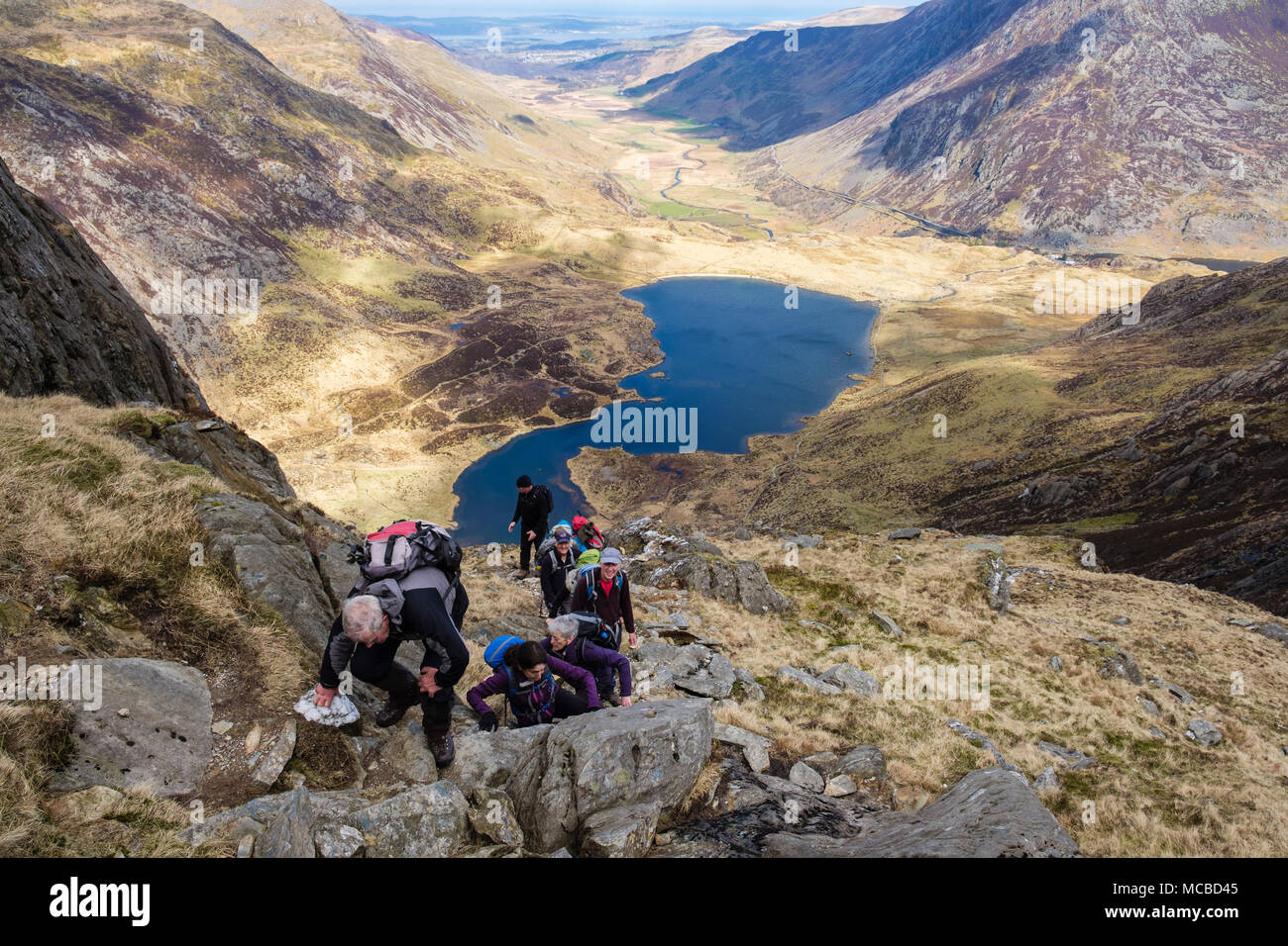 Hikers scrambling up Seniors Ridge route above Cwm Idwal in mountains of Snowdonia National Park. Ogwen, Conwy, Wales, UK, Britain Stock Photo