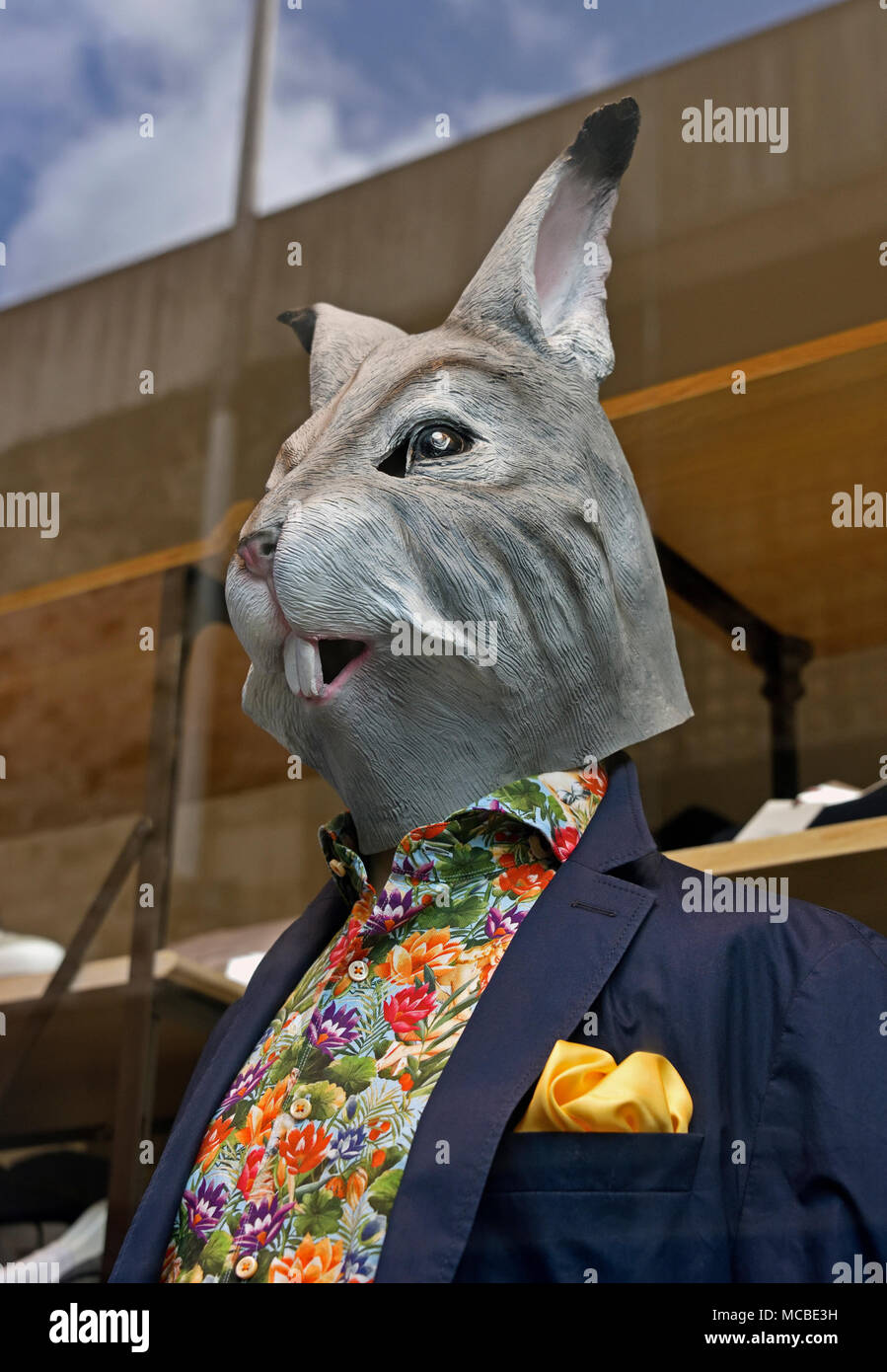 Page 2 Shop Manikin High Resolution Stock Photography And Images Alamy