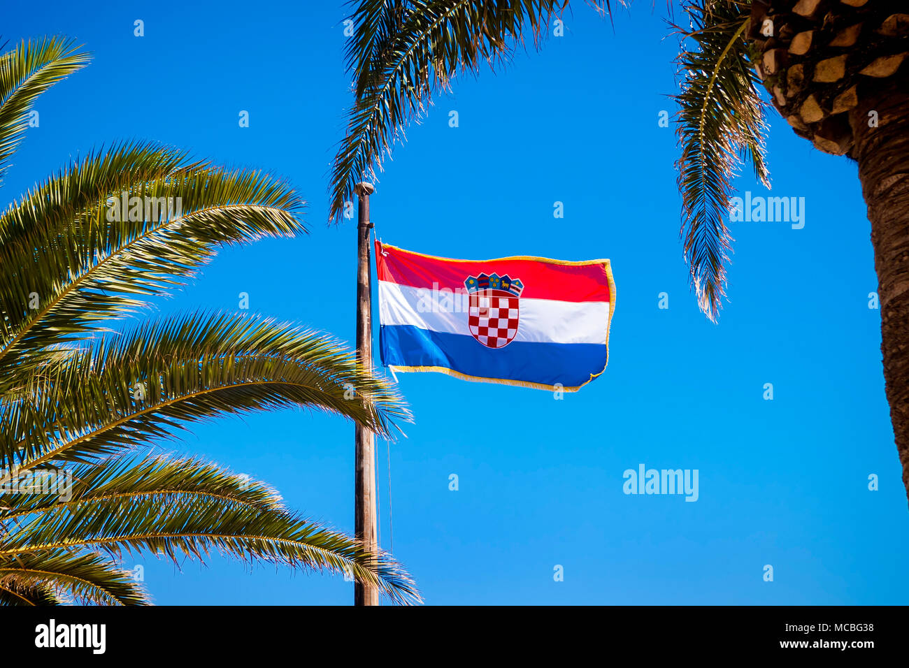Flag of Croatia against the sky and palm trees. Stock Photo