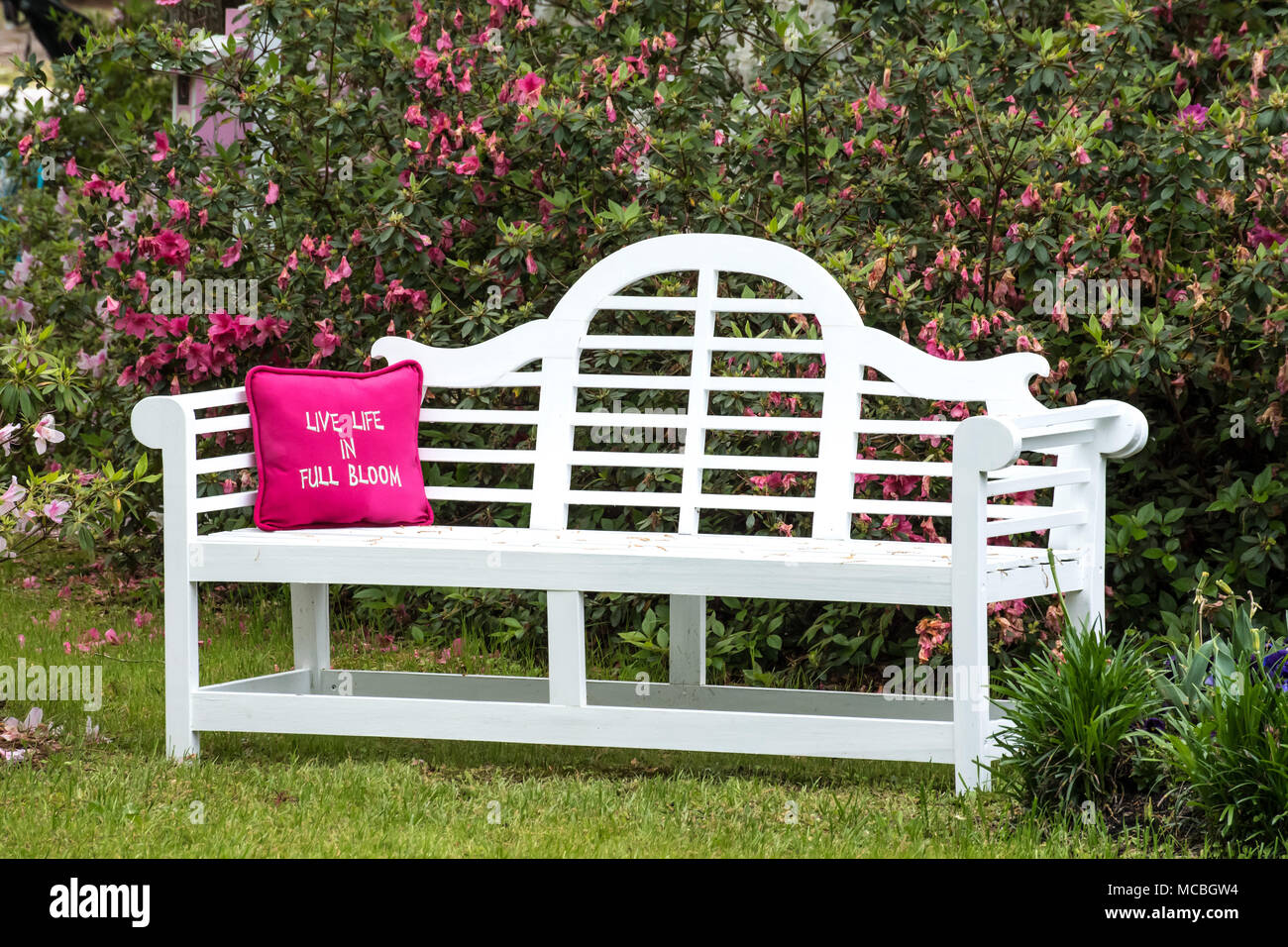 Welcome Spring At The Azalea Festival In Wilmington Nc 2018