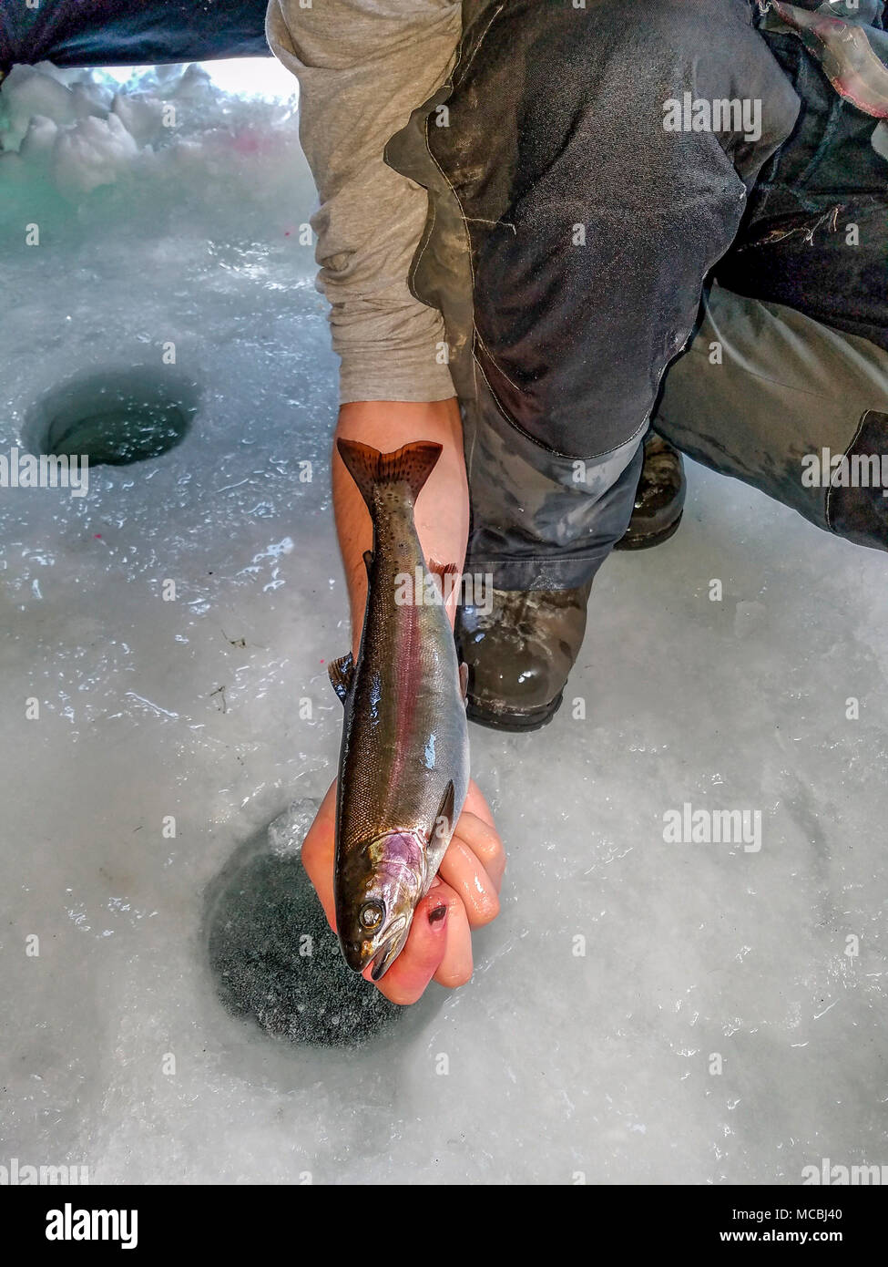 Ice fishing on Heffley Lake near Sun Peaks Resort with Elevated Fishing