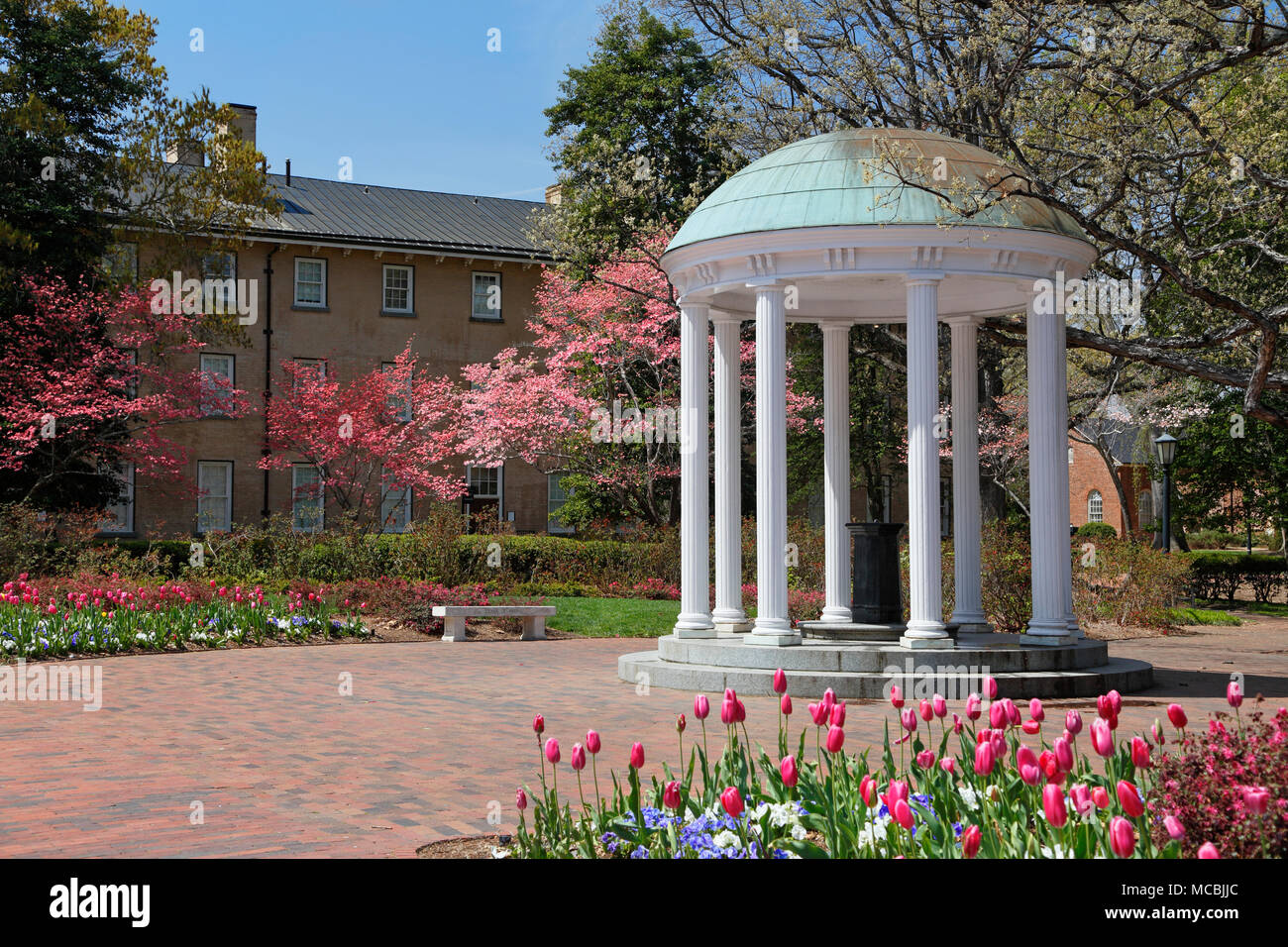 Old Well at the University of North Carolina, Chapel Hill, surrounded by Tulips and pink Dogwood. Stock Photo