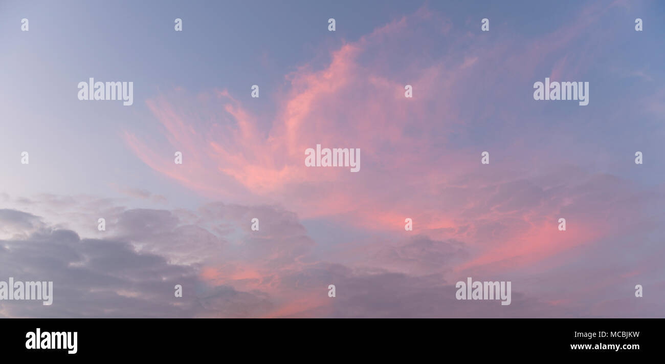 Sunset, pink clouds in the sky Stock Photo