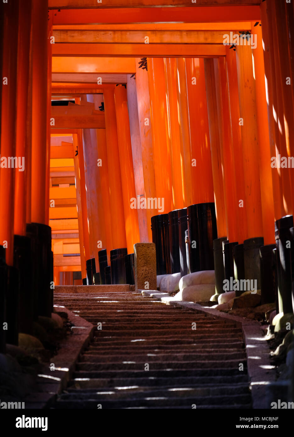 A walking path leads through a tunnel of torii gates at Fushimi Inari ...