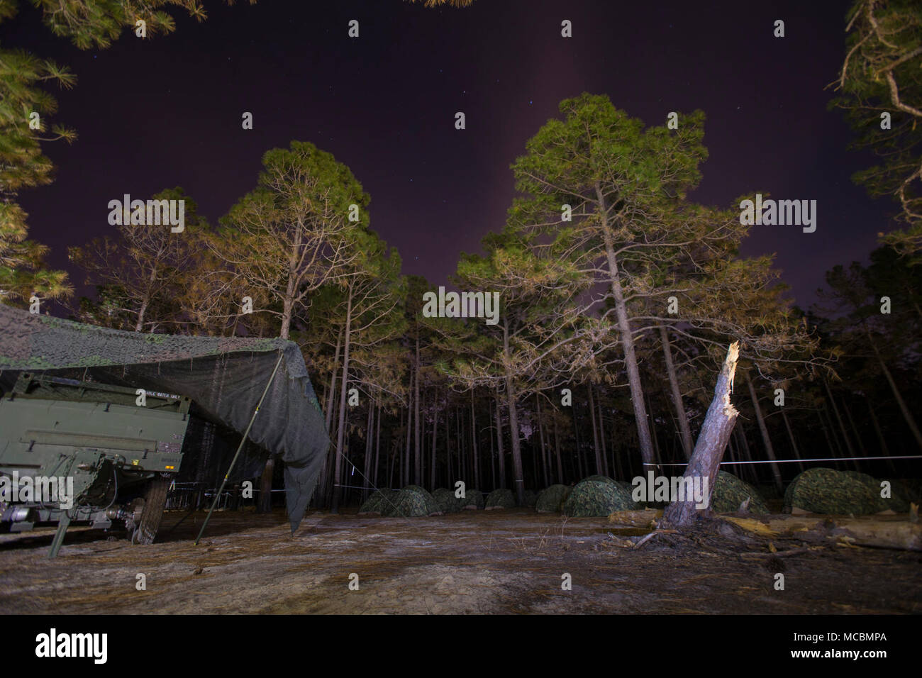 Two-man tents are staged at the edge of a tree line on Fort Bragg, N.C., March 23, 2018. The tents were placed to provide shelter to the Marines of 2nd Transportation Support Battalion, 2nd Marine Logistics Group, during Bold Bronco 18 which was an annual battalion sized training exercise held to promote force readiness. Stock Photo