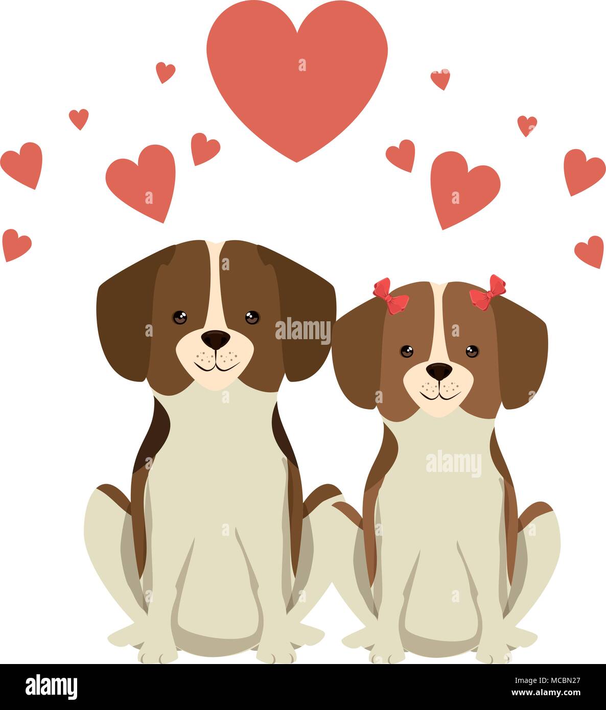 cute couple dogs