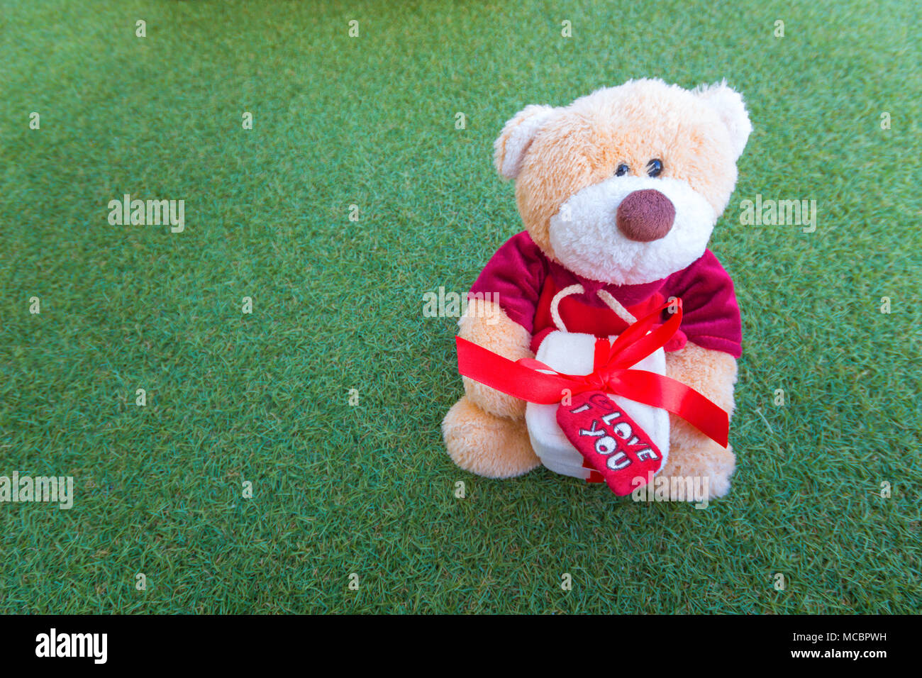 teddy bear holding gift box