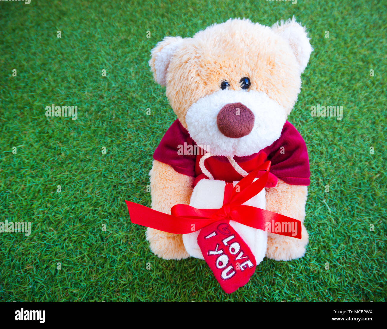 teddy bear holding a box