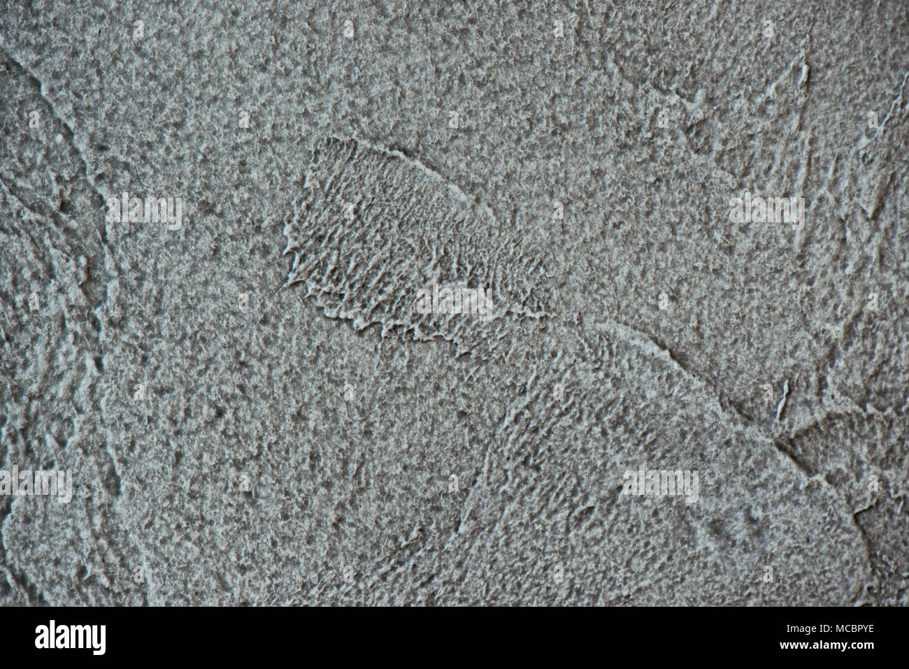 Rustic Putty Pattern Grey Texturized grey putty. Vintage or grungy background of venetian stucco ...