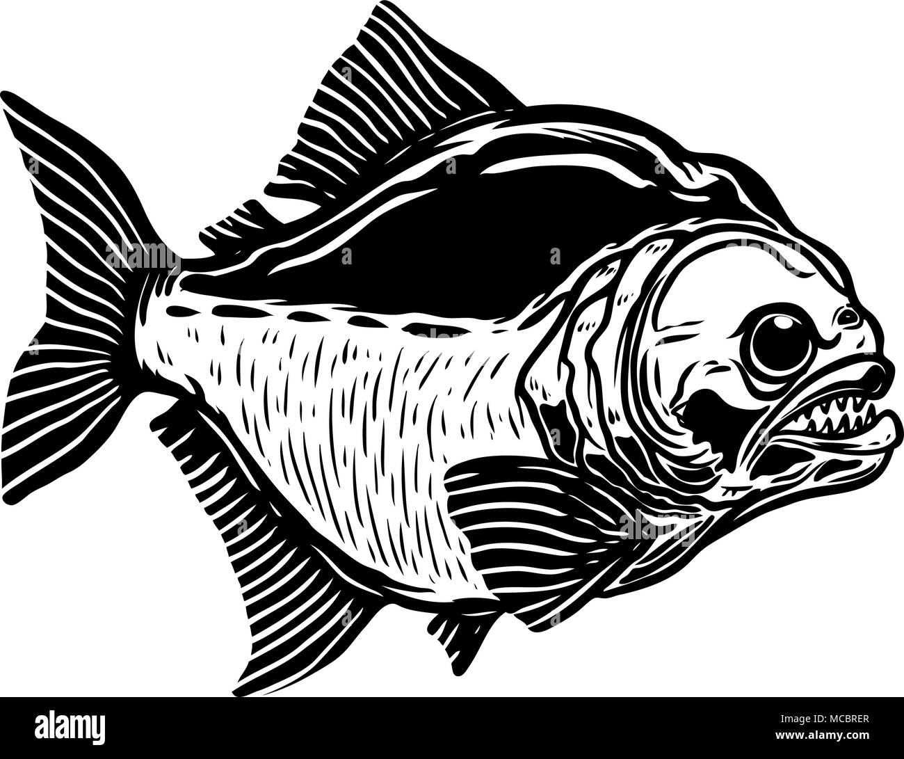 Piranha fish illustration isolated on white background. Design element for poster, t shirt, banner, emblem. Vector illustration Stock Vector
