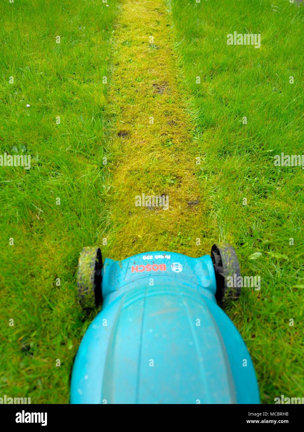 First lawn cut of the year Stock Photo Alamy