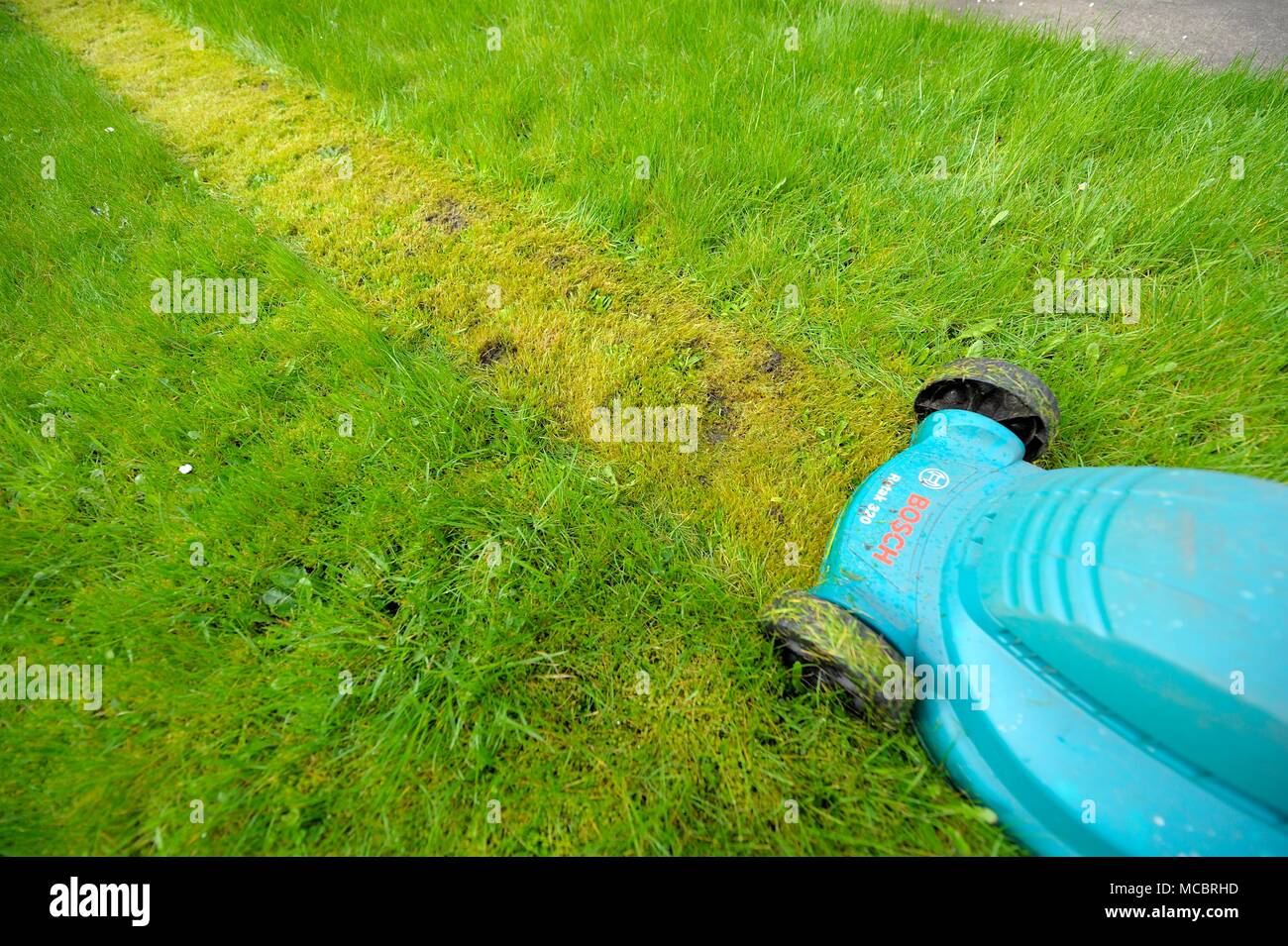 First cut of the year grass sales