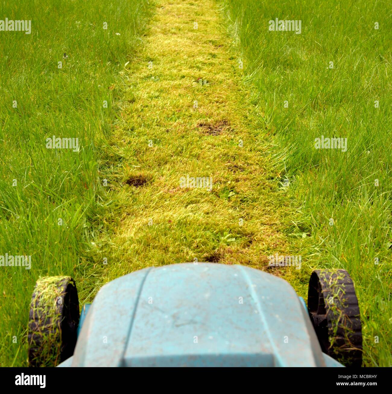 First lawn cut of the year Stock Photo Alamy