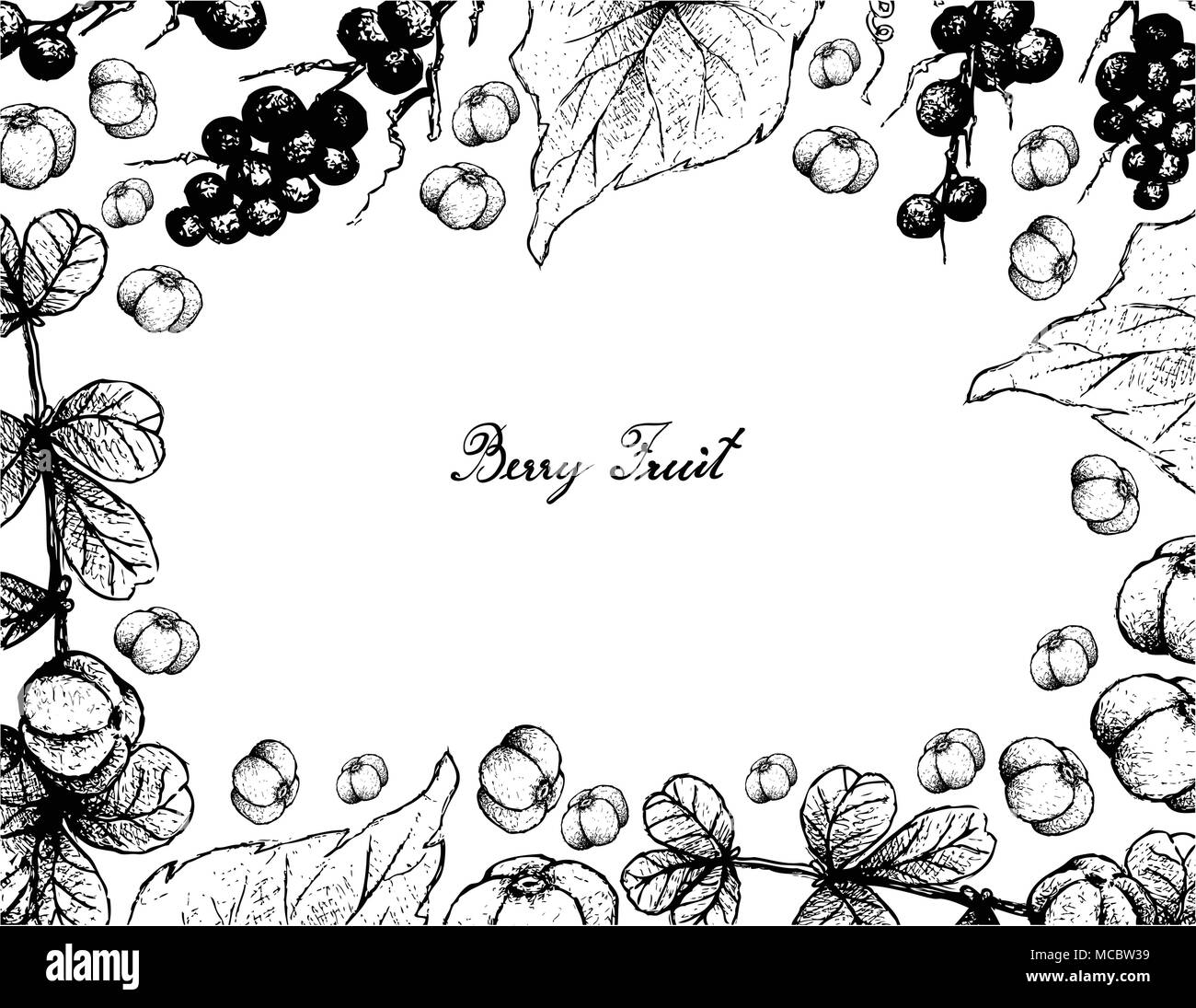 Berry Fruit, Illustration Frame of Hand Drawn Sketch of Red and Sweet Canthium Berberidifolium and Ampelocissus Martinii Fruits Isolated on White Back Stock Vector